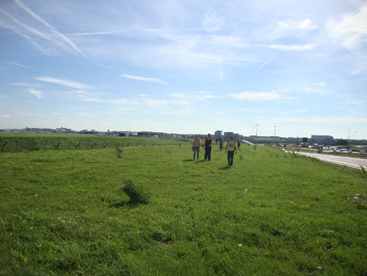 Walking through the meadows of Zaventem